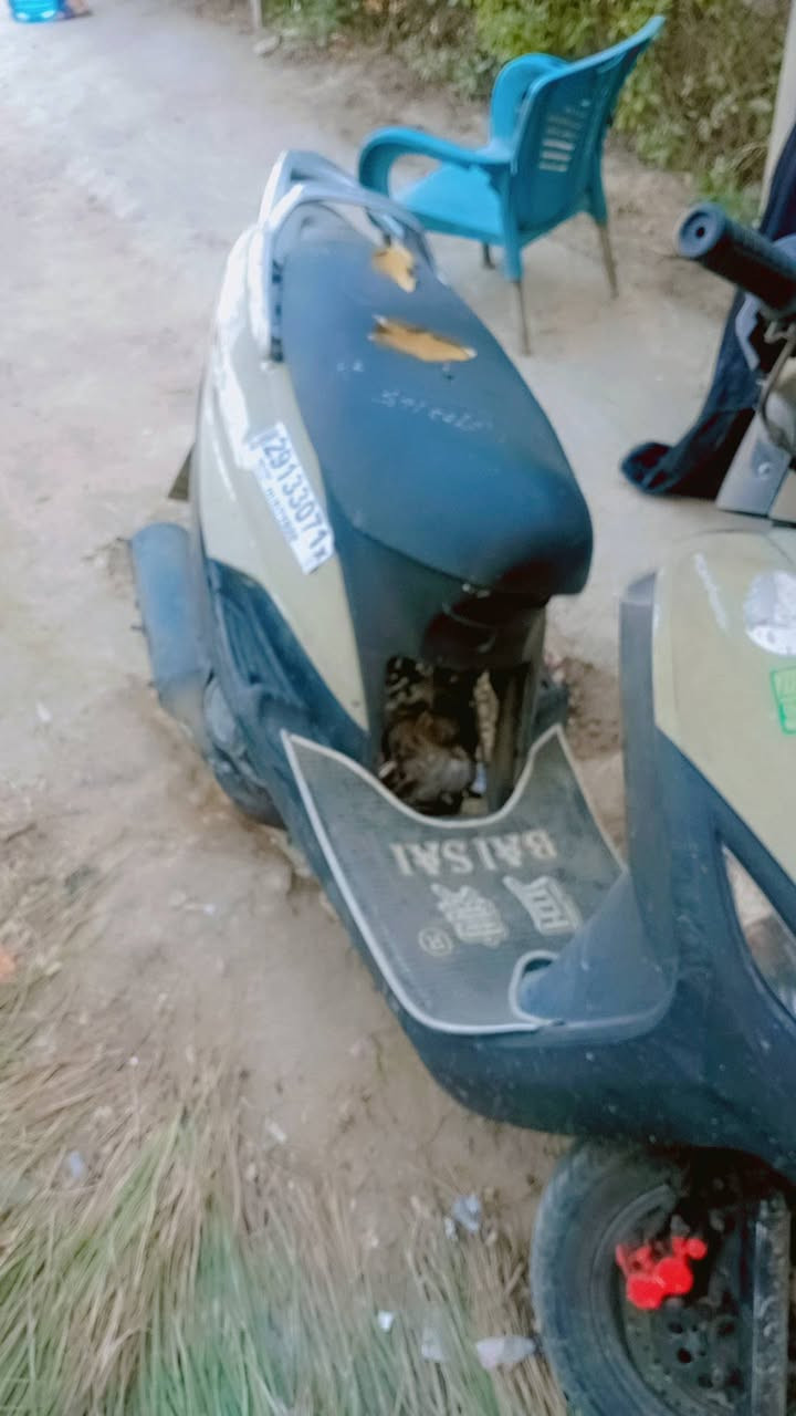ماكس للبيع شغلات يرادله شغلات بسيطه 250 بيهه مجال بابل ***********
