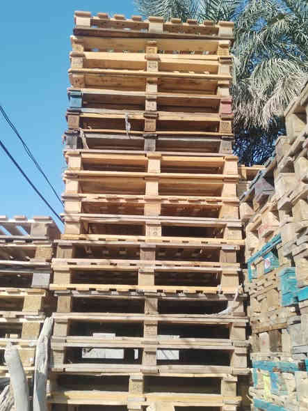 سلام عليكم سكيب العدد ٣٠٠ سكيبة بلكوت *********** كوت حي لحكيم الثانية
