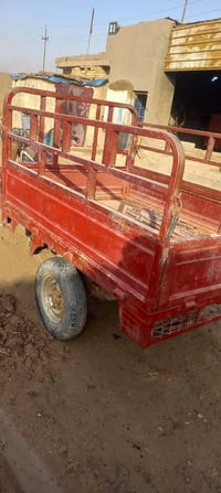 دولفين ٢٠١٩ • شغالة • النهروان