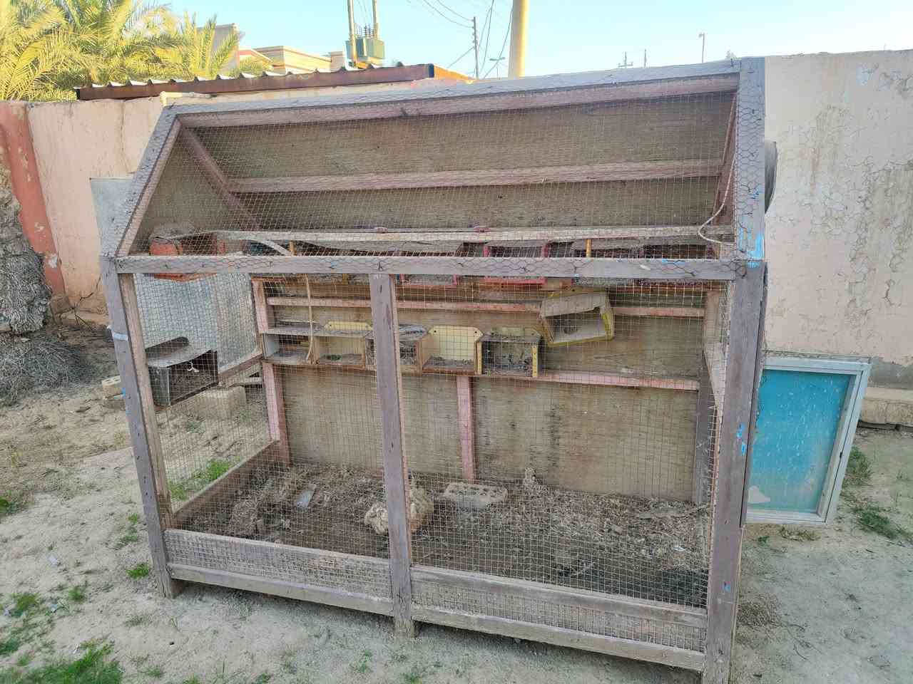 متاح قفاصة اثنين خشب ثقيل شغل درجه اولى القفص ينرادله 3 حته يشيلو شغل درجه اولى سعر الواحد 50 الف قفل القفاص اكبار طول القفص اكثر من متر او نص


**إذا كنت صاحب هذا الإعلان وتريد حذفه لأي سبب، رجاءا أرسل رسالة إلى الدعم الفني**