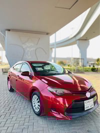 كورلا • ٢٠١٧ • تكريت