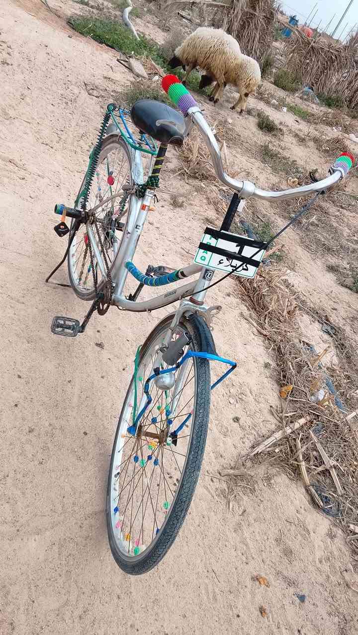 سلام عليكم باسكل نظيف  للبيع موديل2009ياباني من امه مكاني نجف حيدرية سعر 85 وبي مجال هوي كلشش رقم ***********
