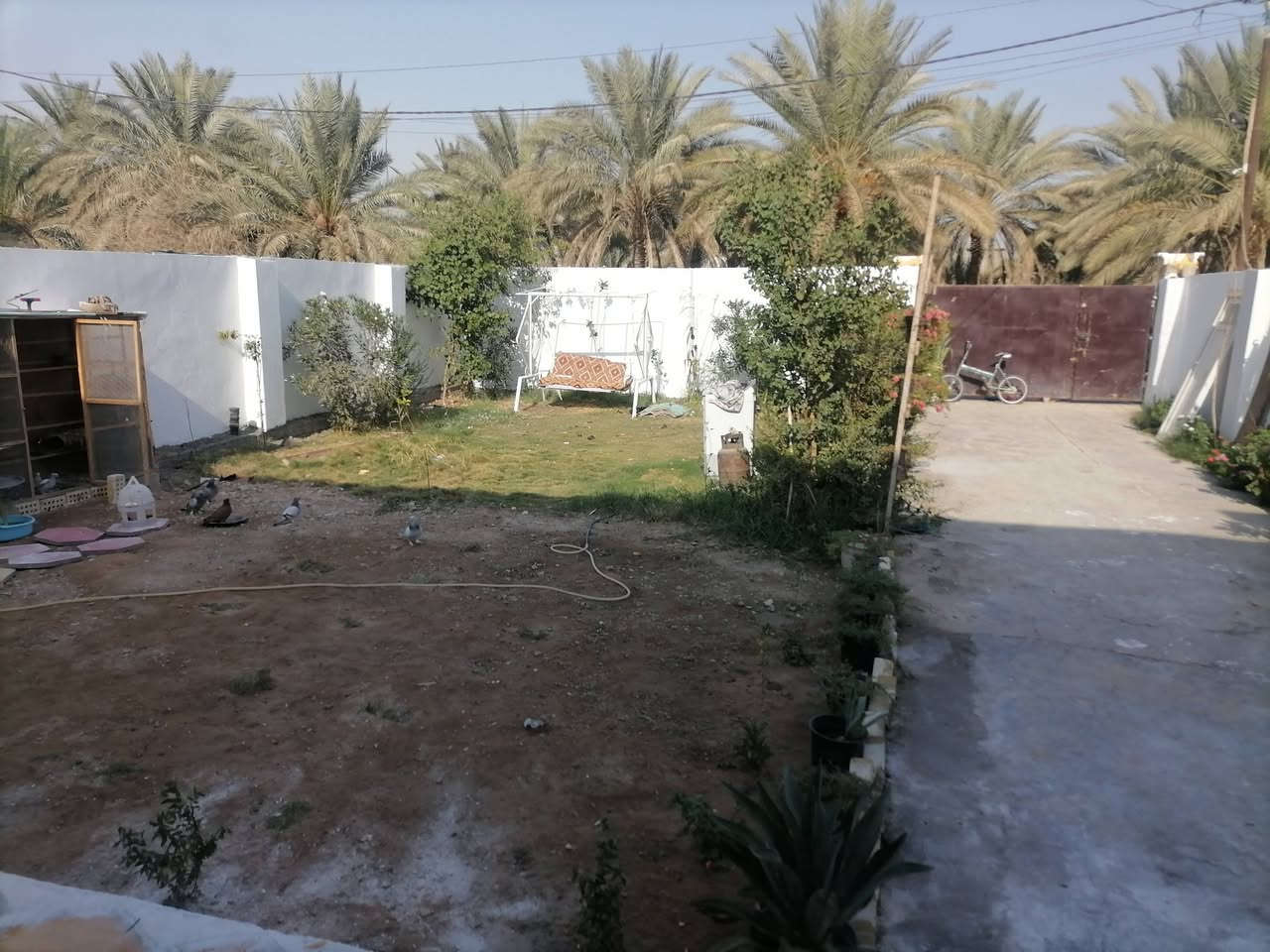 بيع او مراوس
(صاحب الدار) لا مكتب ولا مروج (مراوس يرهم) 
دار 500متر سند 25 ركن للبيع طابق ونص 3غرف نوم وصاله واستقبال ومطبخ وصحيات داخليه وخارجيه تحت البناء 180متر البناء بلوك السقف صب كونكريت
مكان كربلاء الحر قرب مدرسة الحسام
*********** واتساب
*********** يباع مع الأثاث
