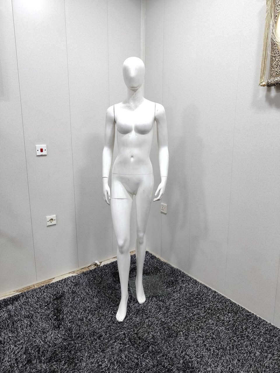 جبت لكم اليوم مانيكانات عرض بأشكال وأحجام مختلفة! 🤩 كلها متوفرة عندي وبأسعار الجملة. شوفوا الصور واختاروا اللي يناسبكم. 👗🛍️ #ملابس #تجارة #مانيكان


**إذا كنت صاحب هذا الإعلان وتريد حذفه لأي سبب، رجاءا أرسل رسالة إلى الدعم الفني**