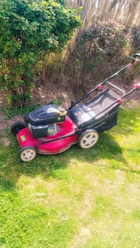 يوجد مكينه مال كص ثيل    حردانيه المين ضلوعيه تصل ودالل  07826741039