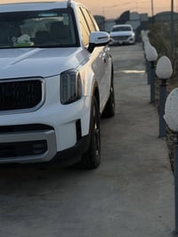 توليرايد • ٢٠٢٤ • رقم اربيل