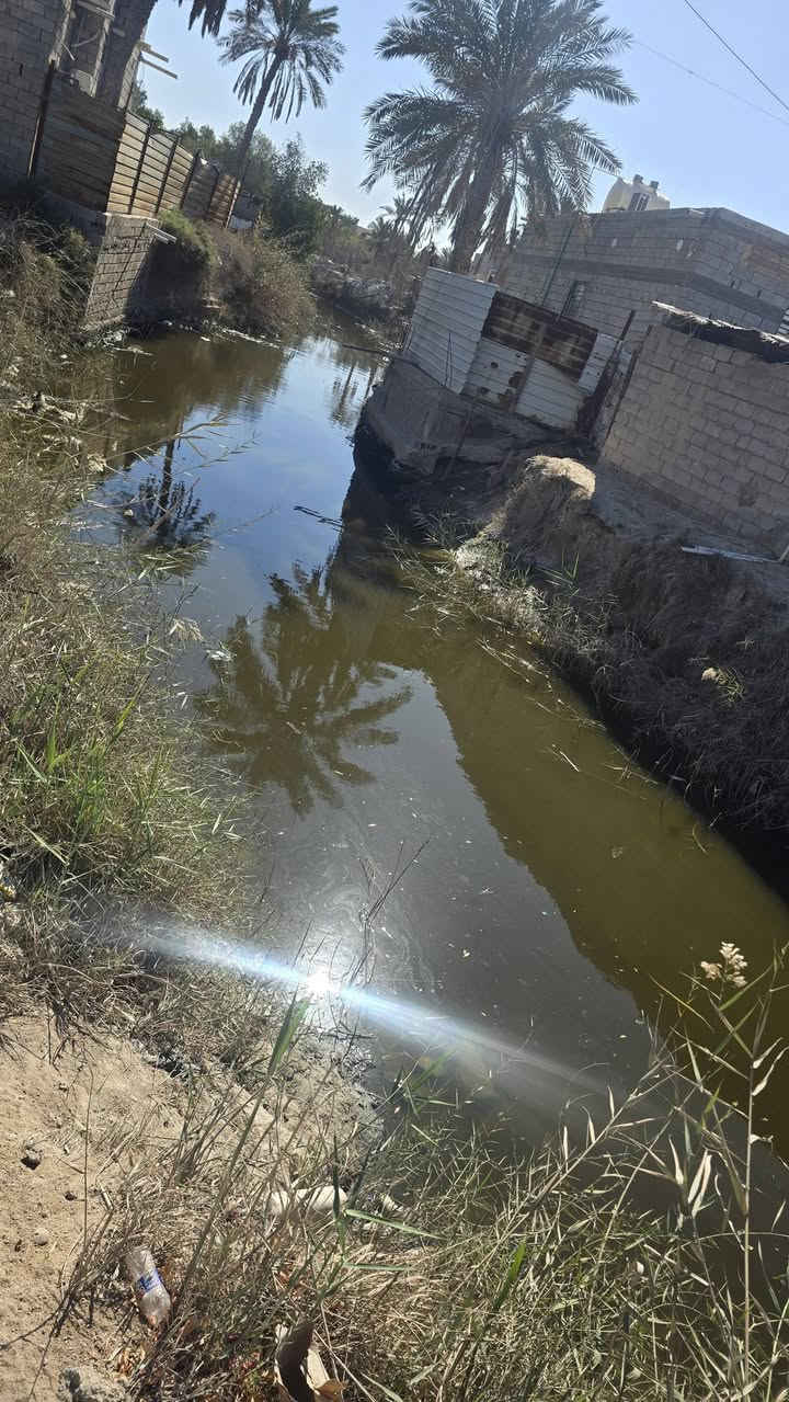 دارسكن ⛪️ طابو ملك زراعي عراقي وكاله مكاتبه ونسخه من الطابو المساحة 200م العنوان بصره أبي الخصيب منطقه باب طويل يتكون من غرفتين وصاله ومطبخ كراج وصحيات داخليه مناور خلف البيت ونهر جاري سعر 39مليون ***********
