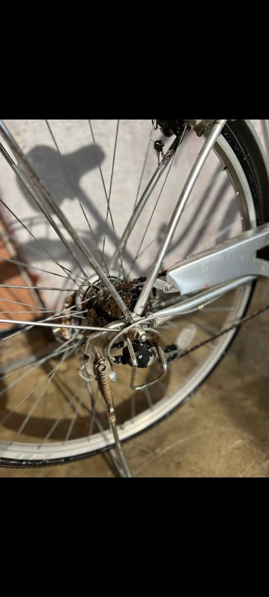 السلام عليكم مكلف ل نشر
باسكيل للبيع ياباني اصلي 
نازل من الحاويه صار شهرين 
كير وحساس حجم 27
وياله بلادي كله عل بلاد 
السعر 110بيه مجال 
شراي تعال خاص مكاني كركوك حي الواسطي


**إذا كنت صاحب هذا الإعلان وتريد حذفه لأي سبب، رجاءا أرسل رسالة إلى الدعم الفني**