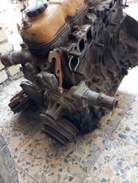 بيتا • بخير • بغداد حيور