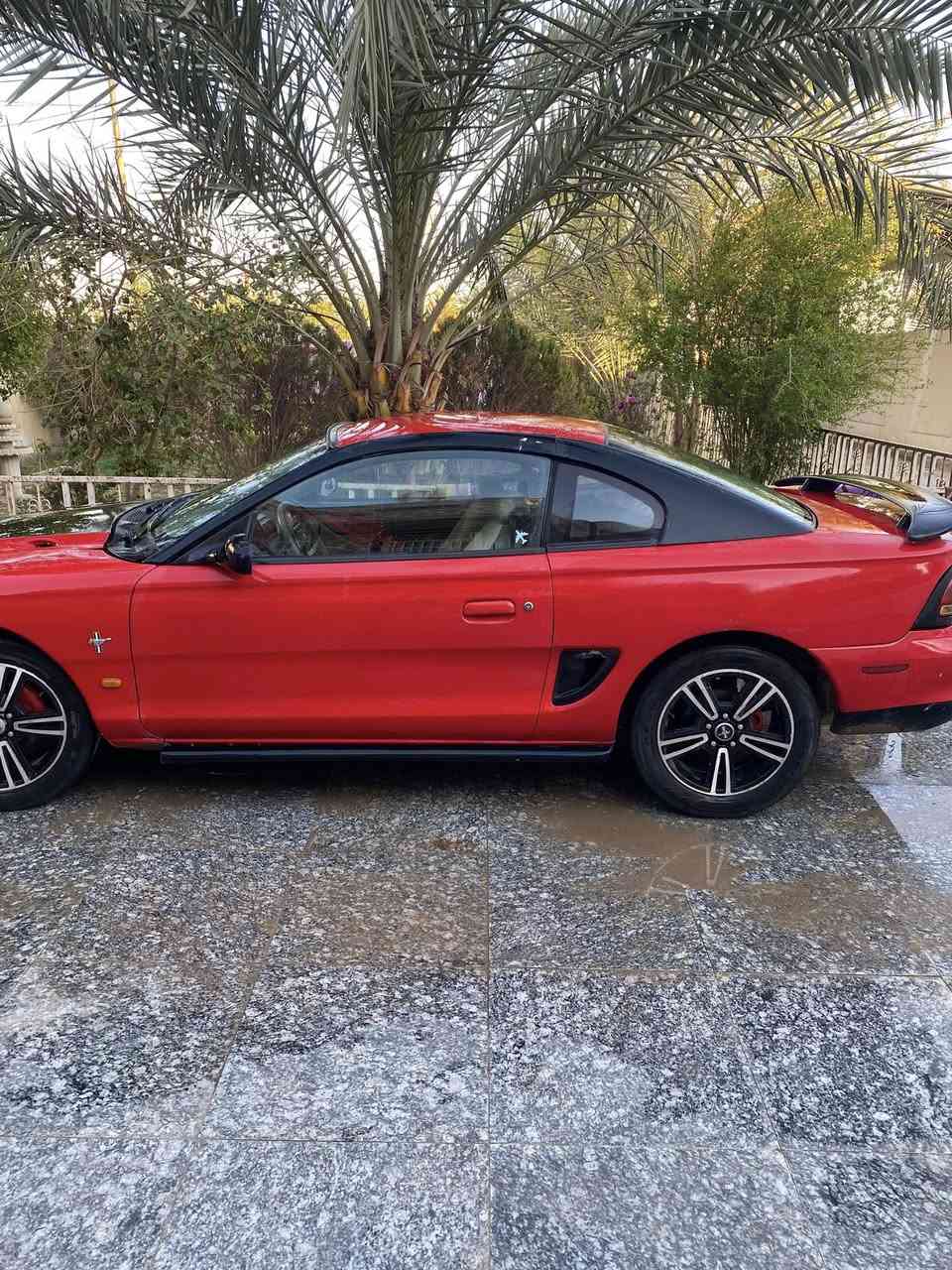 فورد موستنج 96 سعر 30 محرك 3.800 تفاصيل خاص مكاني الديوانية


**إذا كنت صاحب هذا الإعلان وتريد حذفه لأي سبب، رجاءا أرسل رسالة إلى الدعم الفني**