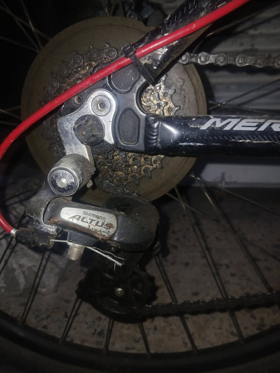 بايسكل استعراض للبيع مواصفاتها👇
كير امامي خلفي شغال✨🔥
بريك هايدرولك خلفي✨🔥
ستيرن90موشم✨🔥
 مكينه8نمرات كبس من شركه✨🔥
حجم26✨🔥
السعر190قفل❤🔥


**إذا كنت صاحب هذا الإعلان وتريد حذفه لأي سبب، رجاءا أرسل رسالة إلى الدعم الفني**