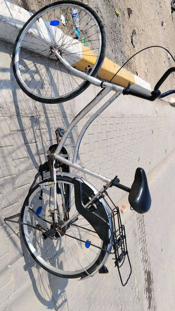 السلام عليكم شلونكم بايسكل حجم 26 بايسكل كامل السعر خاص


**إذا كنت صاحب هذا الإعلان وتريد حذفه لأي سبب، رجاءا أرسل رسالة إلى الدعم الفني**