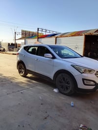 سنتافيه • ٢٠١٣ • وارد امريكي
