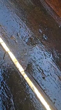 عندي خشب 120متر كاملة معلكة للبيع بعداد الشعله (السعر1,750) اتصل 07701...