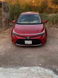 كورلا • ٢٠٢١ • بدون دواخل