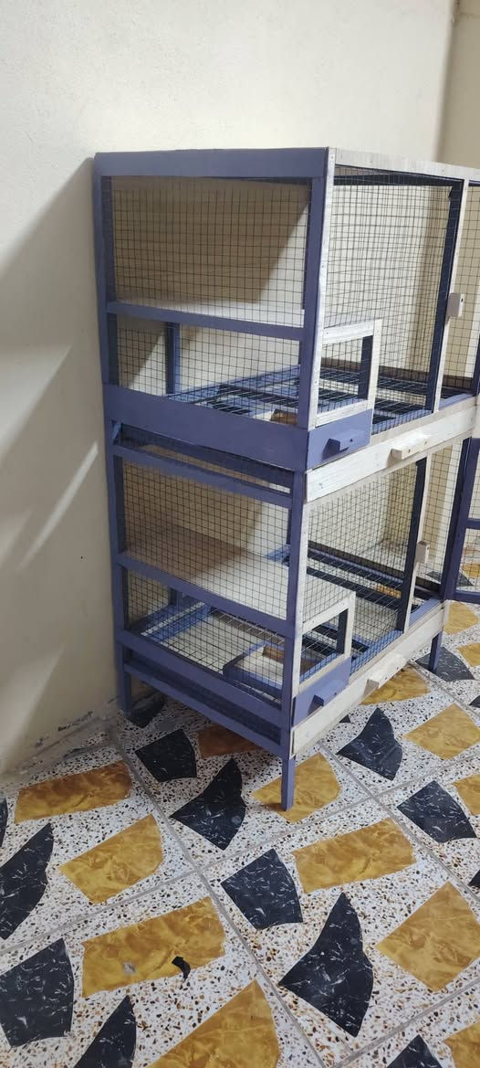 متاح قفص جديد ام ٢ خانات ابو جكمجة
***********
