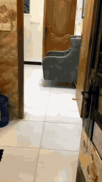 السلام عليكم.... بيت للبيع منطقه الشعب شارع عدن قرب متوسطةالاشراق مساحه 60م واجهه 10نزال 6 استقبال مطبخ وغرفه صحيات طابق ثاني غرفتين وصحيات استفسار مكتب الشعب للعقار بادره ابو هيله   ***********واتساب *********** اتصال
