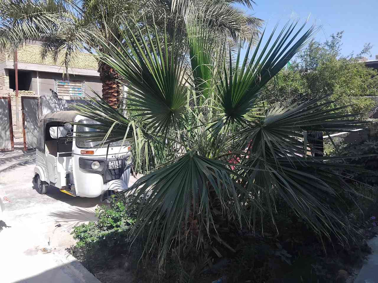 بيت زراعي للبيع الكارضية البيضاء  مساحة اكثر من 250 متر يحتوي على صالة وغرفة نوم و مطبخ وصحبات جاهز للسكن السعر المطلوب 30 مليون الاتصال عالرقم ***********
