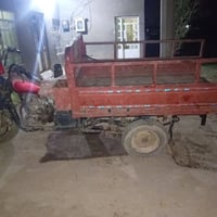ستوته • شغاله • عجرش