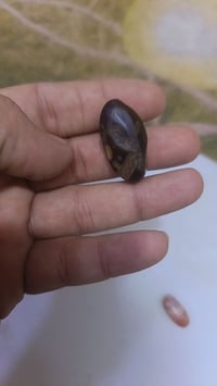 سلماني • للبيع • قيمة