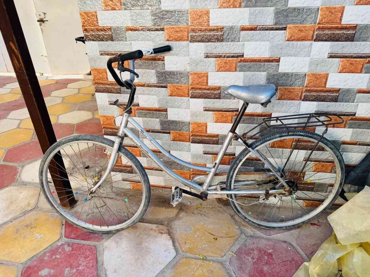 ‎باسكل للبيع سعر 35‎ حلة, بابل


**إذا كنت صاحب هذا الإعلان وتريد حذفه لأي سبب، رجاءا أرسل رسالة إلى الدعم الفني**