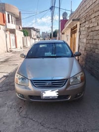 سبكترا • ٢٠٠٨ • بدون صبغ