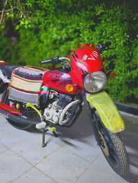 بوكسر 2022 • أوراق أصلية • محرك مكفول