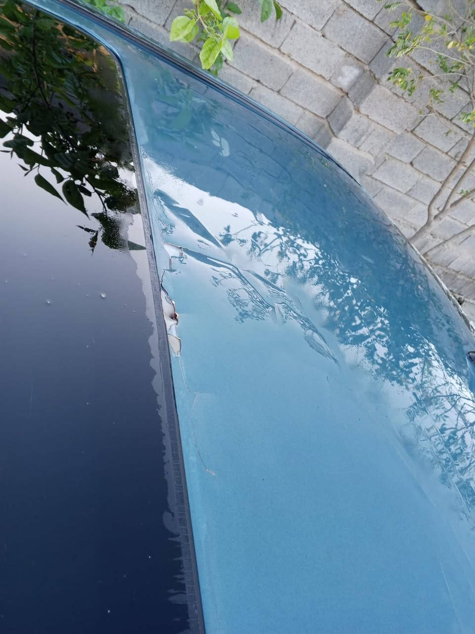 سوناتا ٢٠٠٦ مصبوغه عام بغداد تحويل ثاني يوم صار بيه تكشير ب القماره بيه تصليح ب التكمه الخلفيه مكفوله من الكص والعيب الشرعي مكينه ٦سلندر صدر نص عمر 
مكان الشعله أو الدولعي 
السعر ٧٣ وبيه مجال 
***********
