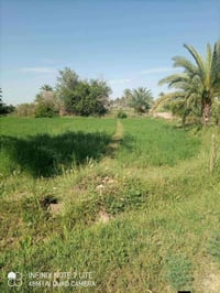 دوانم جميله موقع جيد التاجي ذراع دجلة طابو سند 25 خدمات كاملة ماء اسال...