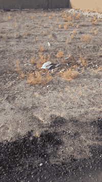 السلام عليكم اخوان قطع للبيع مساحه٥٠٠ متر طابو زراعي سند ٢٥متوفر كافه الخدمات العنوان قريب على مزار العلويه شريفه بنت الحسن عليه السلام للإستفسار ***********
