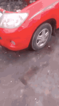 فلونزه ٢٠٠٩ • رقم ميسان • كير عادي