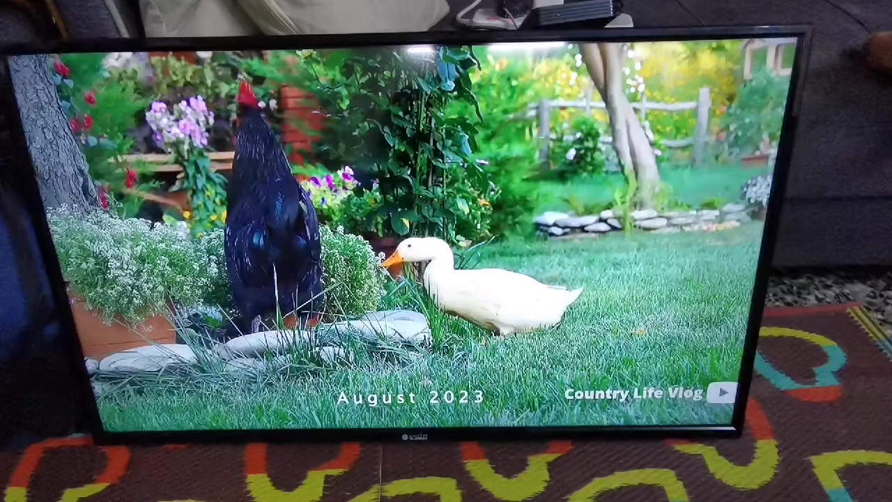 سلام عليكم عندي شاشه نوع الجي العربي الحجم 42 نضيف بدون نت السعر 130 الف مع ريموت جديد العنوان البياع حي الرساله الأولى قرب مدينة العاب الكرخ تلفون ***********
WhatsApp +964***********
