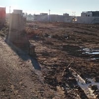 بين كلية الحياة ومجسر السادس • أراضي زراعية • سند 25