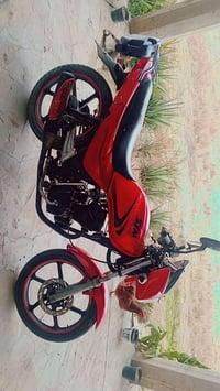 دراجة • بعيثه • أوراق