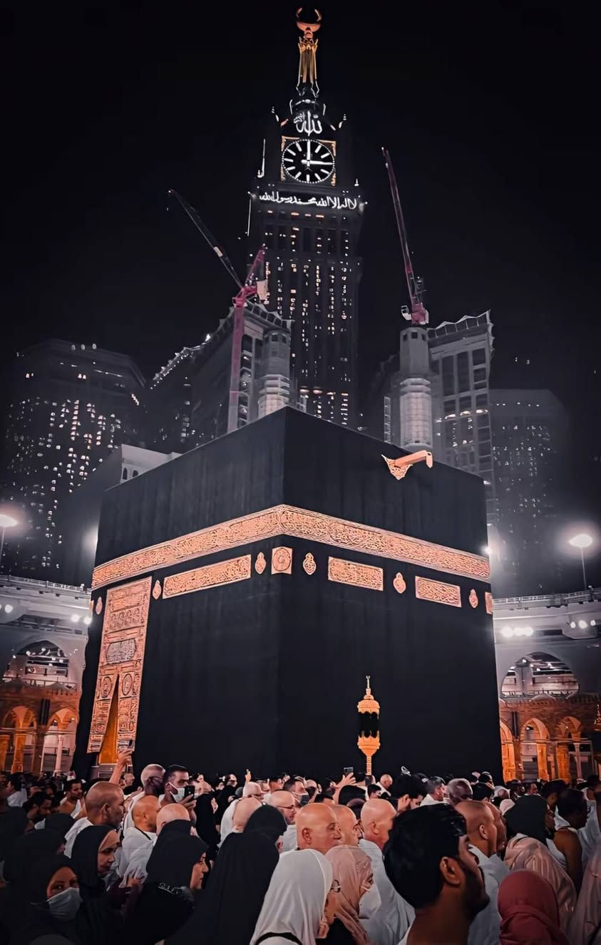 بسم الله الرحمن الرحيم والصلاة والسلام على نبينا وحبيبنا محمد علية افضل الصلاة والسلام
يعلن مكتب البيدر للحج والعمره بإدارة الحاج شامل البيدر عن برنامج شهر رمضان المبارك وعلى بركة الله 
المرشد الديني:الدكتور جمال عبدالستار الطلوح
————————————————————————

————————————————————————

البرنامج الاول:شهر كامل(بَرًّا)

فندق بيوت الجزيره 

السعر:950 دولار

البرنامج يشمل الهدايا+ضيافة السفر(طعام)

للتواصل👇

 ***********

***********

————————————————————————

————————————————————————

البرنامج الثاني:اوائل شهر رمضان المبارك(بَرًّا)

فندق بيوت الجزيره

 السعر:600 دولار

البرنامج يشمل الهدايا+ضيافة السفر(طعام)

للتواصل👇

 ***********

***********

————————————————————————

————————————————————————

البرنامج الثالث:أواخر شهر رمضان المبارك(بَرًّا)

فندق بيوت الجزيره 

السعر: 800 دولار

البرنامج يشمل الهدايا+ضيافة السفر(طعام)

للتواصل👇

 ***********

***********

————————————————————————

————————————————————————

البرنامج الرابع:شهر كامل(بَرًّا)

فندق كابيتل جيست قرب المسجد القطري باصات نقل من الفندق إلى الحرم خاصه بالفندق وايضاً مشي على الأقدام يبعد 1 كيلو متر عن باصات محبس الجن السقائف

 السعر:700 دولار

البرنامج يشمل الهدايا+ضيافة السفر(طعام)

للتواصل👇

 ***********

***********

————————————————————————————————————————————————

البرنامج الرابع:طيران من مطار كركوك الدولي ذهاب واياب(اوائل شهر رمضان المبارك)

السكن محبس الجن فندق برج الخير

السعر:700 دولار

البرنامج يشمل الهدايا

للتواصل👇

 ***********

***********

————————————————————————

————————————————————————

البرنامج الخامس:شهر كامل(بَرًّا)

فندق أبراج الكسوه 

السعر:1200 دولار 

البرنامج يشمل الهدايا+ضيافة السفر(طعام)

للتواصل👇

 ***********

***********

————————————————————————

————————————————————————

البرنامج السادس:شهر كامل(بَرًّا)

فندق براديس جهة السقائف

السعر:925 دولار

البرنامج يشمل الهدايا+ضيافة السفر(طعام).

للتواصل👇

 ***********

***********

————————————————————————

————————————————————————
