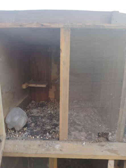 خانات لبييع العدد 6 خانات مربعه. طول و وعرض الخانه الوحده 50/50 السعر 60 مكان الامين الثانيه شارع المكاتب لتواصل خاص
واتساب ***********
