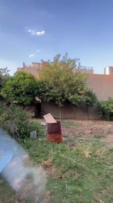نشتغل حدائق تنضيف تقليم
زراعه ترتيب

تواصل خاص او وتساب

***********
