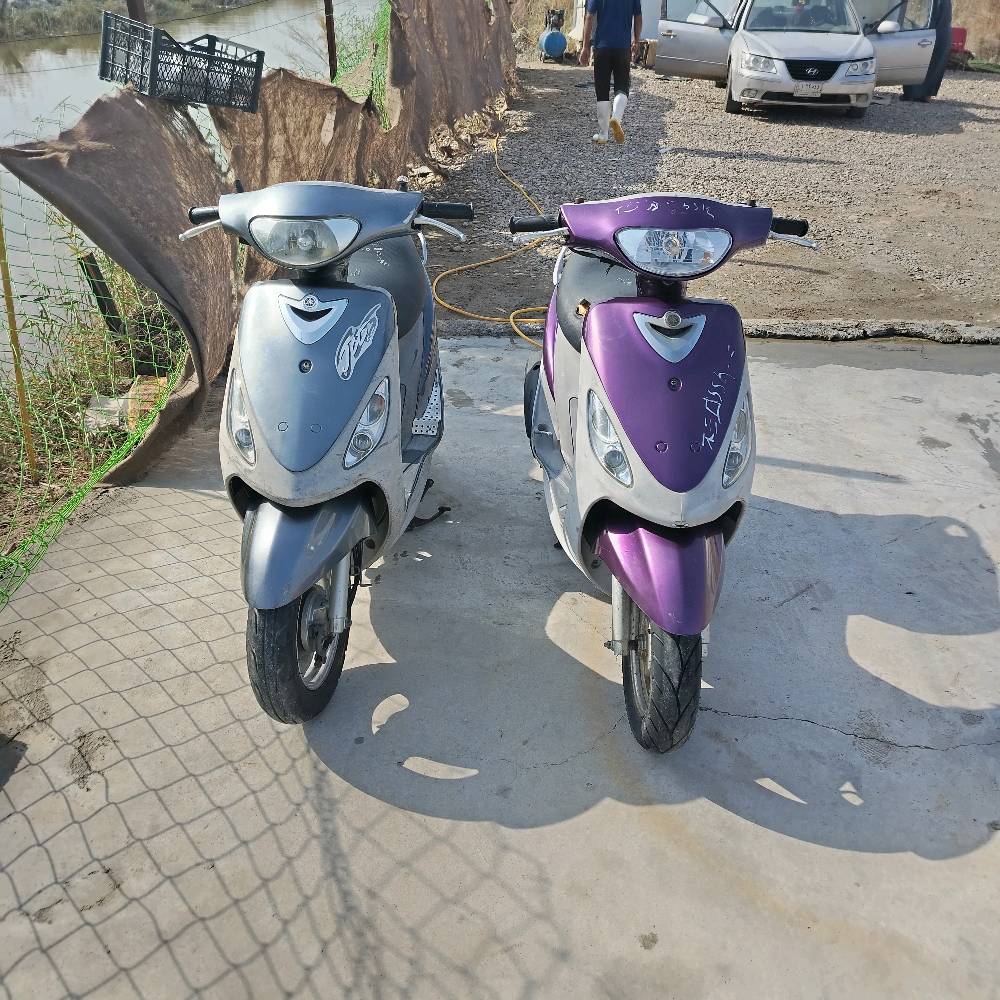 البصره قضاء المدينه 
الدراجه البنفسجيه فقط للبيع