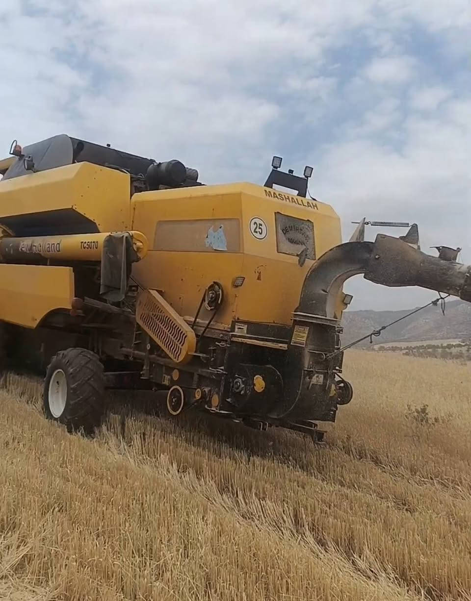 دكاكا البيع 5بلم رقم موبايل ***********
