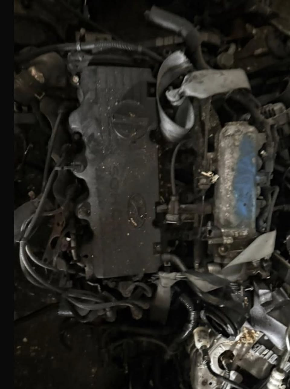 ادوات فيرنا عنوان كركوك كراج شمال توصيل محافظات العراق ***********
