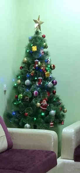 سلام عليكم 
متوفر اشجار كريسمس ومفروشات للبيع السعر خاص
