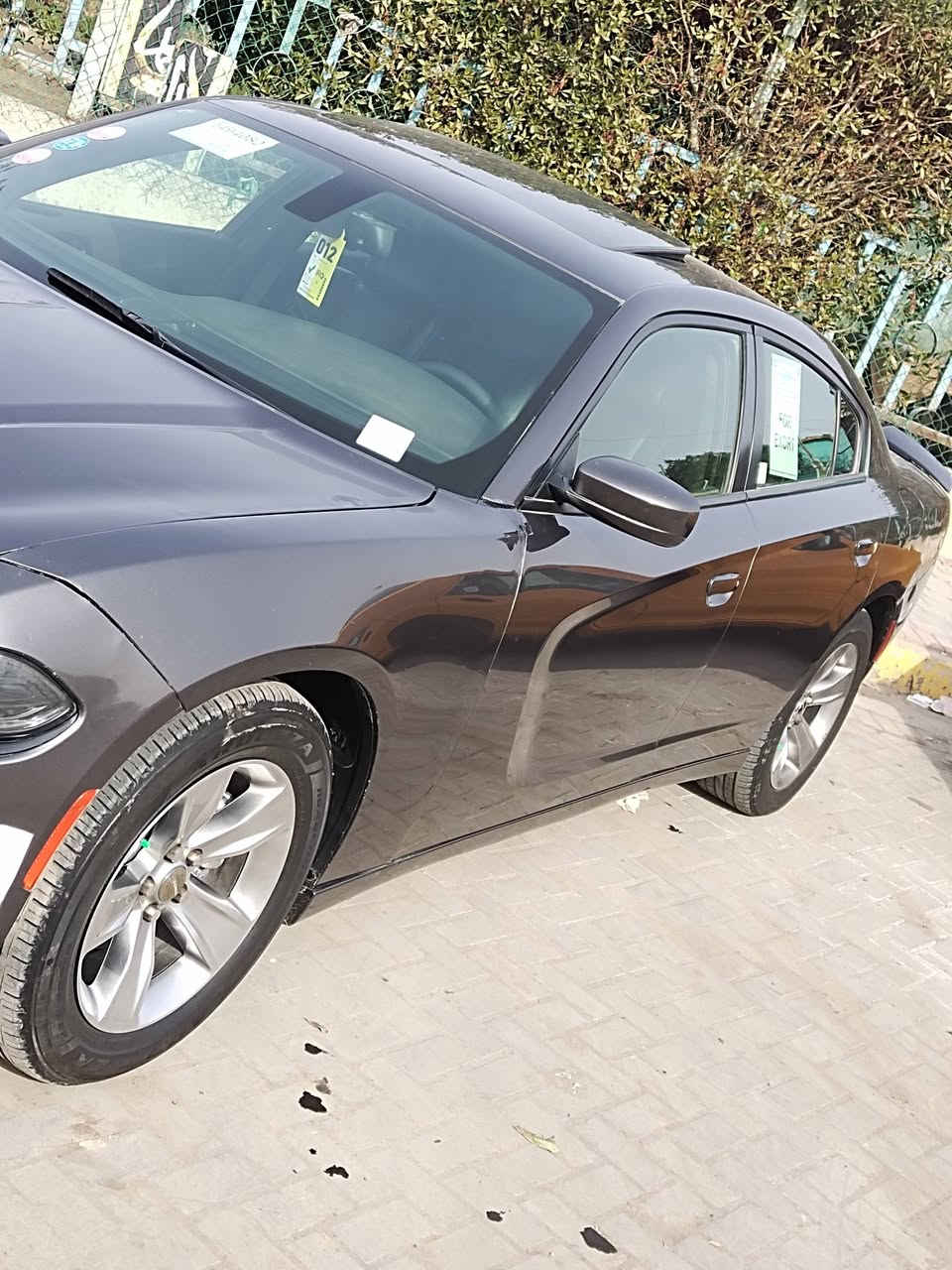 ​🚗 دوج تشارجر SXT موديل 2019 🚗
دوج تشارجر SXT.
​موديل: 2019.
​وارد أمريكي.
​حادث: جاملغ وبنيد السونار مرفق مع المنشور 
فول السياره 1/1
​المواصفات:
​فتحة سقف.
​كشنات حضن.
​مري خزن.
​وباقي مواصفات الـ SXT المعروفة من شاشة وكاميرا وتشغيل عن بعد.
بأسمي تحويل مباشر
​💰 السعر: 20,000$ 
📍 المكان: بغداد - الشعب.
​📞 للاستفسار : ***********
