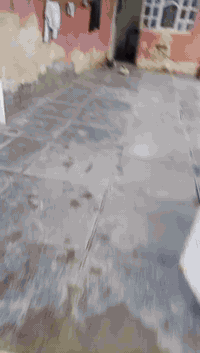 سلام عليكم بيت بحي البتول زراعي مقابيل شارع بيت دايش مساحه 150متر  *********** رقم الهاتف واتساب
