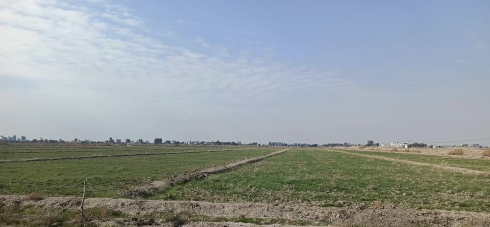 طعة ارض للبيع مساحة 4دونم طابو زراعي سند 25تحويل مباشر ماء سقي متوفر صيف وشتاء وإسالة  وبيها بيت بناء حديث طابوك بناء العام يحتوي على 3غرف نوم 4+5 وصالة 5+5وهول 10+5 ومضيف 10+5 وطارمة تكفي 3سيارات #العنوان قرية حايف مقابل معمل غاز الراشد تبعدعن الشارع العام كيلو ونص السعر 120وبيها مجال ‭0782 770 2909‬
