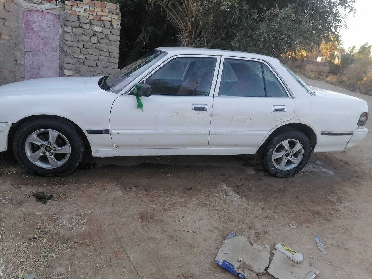 رقم *********** بي واتساب
