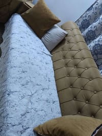 كنب • تخم • سيديه
