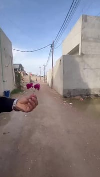 باب الهواء • ٥٠م • غرفتين