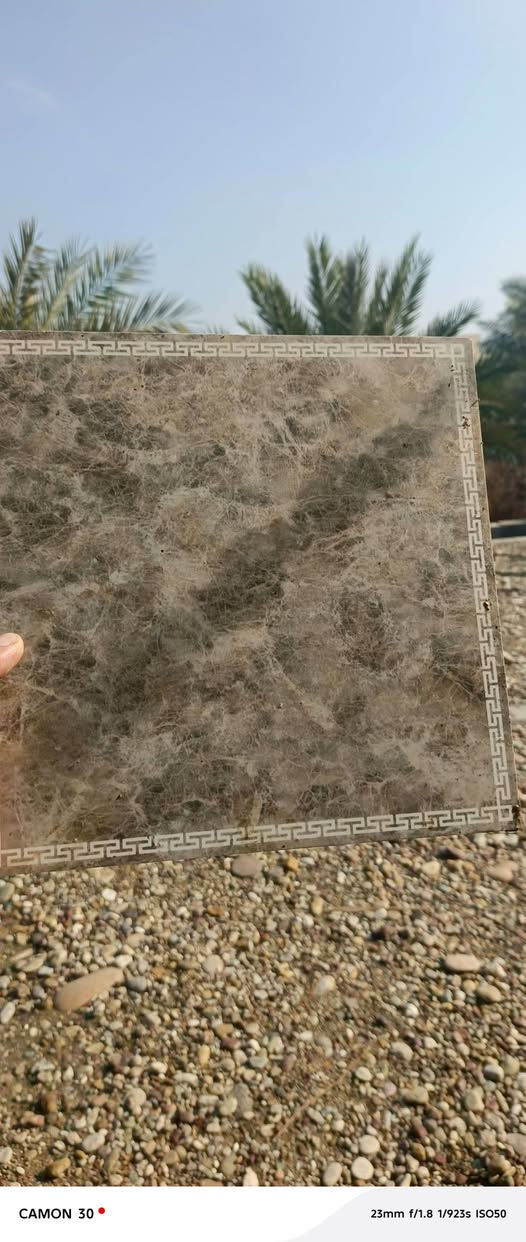 أعمال سقوف ثانوية
سعر المتر السقوف العدل 2000
والديكور سعر المتر 3000
الي يريد يتصل وحياكم الله 
***********
