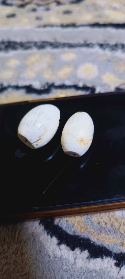 سلام عليكم احجار زوج عطفات وزوج سليمانيات 

متاحات مكان سماوه 
150


**إذا كنت صاحب هذا الإعلان وتريد حذفه لأي سبب، رجاءا أرسل رسالة إلى الدعم الفني**