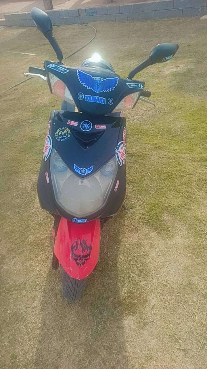 سلام عليكم سكنس فحل جدآ نضيفه وشوف العين السعر ٥٠٠وبيهة مجال للسفسار ***********وات ساب
